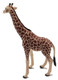 Mojo Male Giraffe - Right Side View